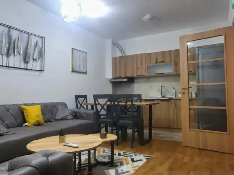 Izdavanje, jednosoban stan, 46m², Momišići, Podgorica - image 6
