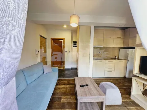 Prodaja, dvosoban stan, 44m², Rudine, Zlatibor - image 4