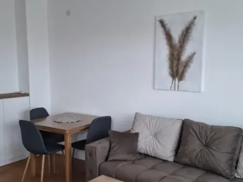 Izdavanje, jednosoban stan, 41m², Grbavica, Novi Sad Sve Podlokacije - image 2