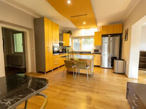 Sale, house, 240m², Salajka, Novi Sad Sve Podlokacije - image 15