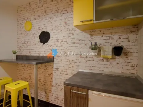 Izdavanje, dvosoban stan, 40m², Vračar Hram, Vračar Sve Podlokacije - image 12