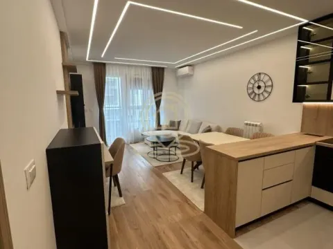 Rent, one bedroom apartment, 50m², Novi Beograd Blok 65, Novi Beograd Sve Podlokacije - image 4