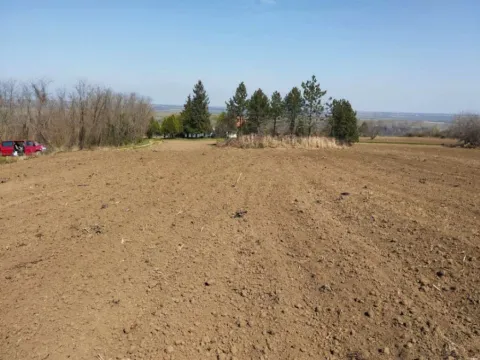 Prodaja, plac, 1235m², Novi Slankamen, Inđija - image 7