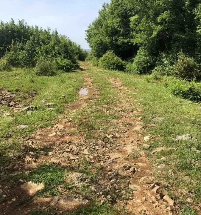 Sale, land lot, 17500m², Velja Gorana, Bar