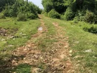 Sale, land lot, 17500m², Velja Gorana, Bar - image 1