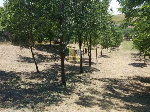 Prodaja, kuća, 65m², Čortanovci, Inđija - image 8