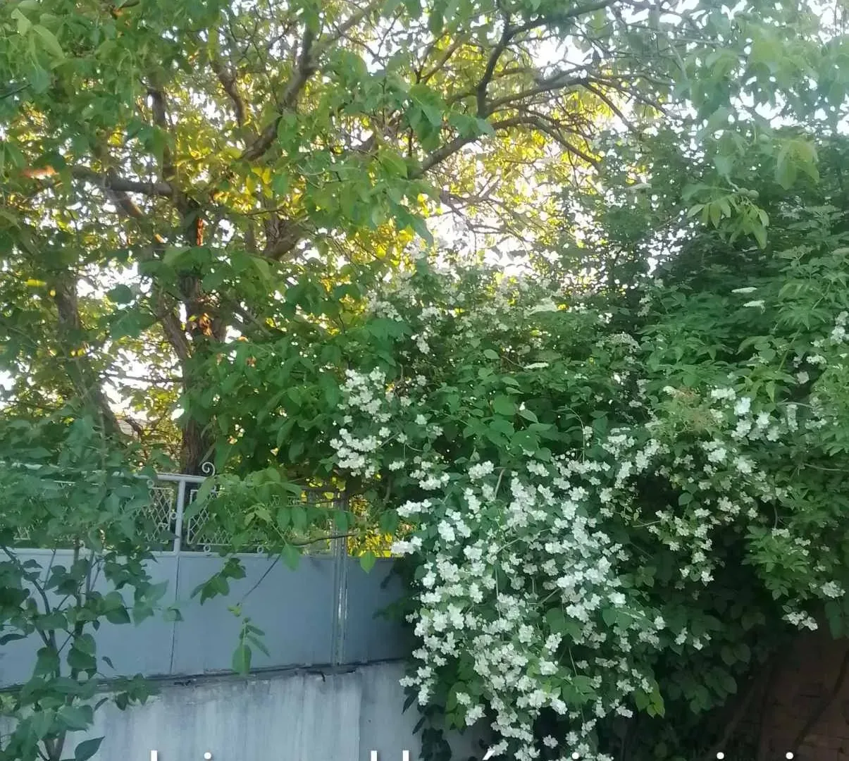 Sale, house, 112m², Sečanj, Srbija