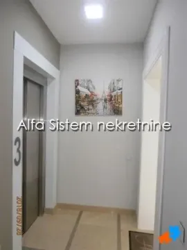 Rent, four bedroom apartment, 180m², Vračar Hram, Vračar Sve Podlokacije - image 25