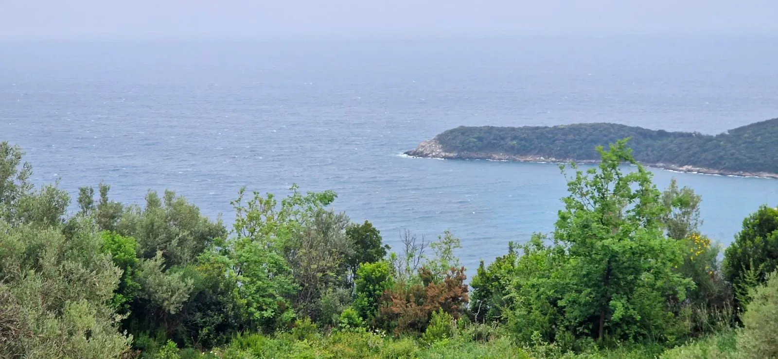 Prodaja, plac, 347m², Budva okolina, Budva