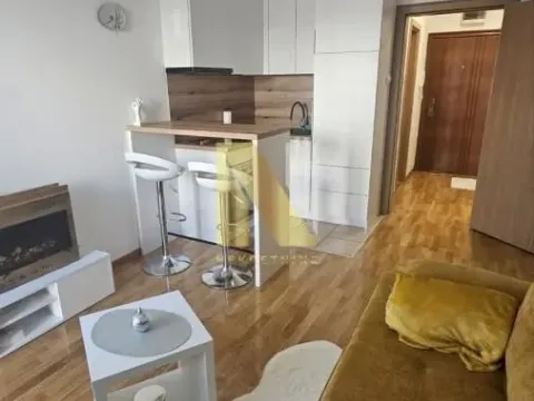 Rent, one bedroom apartment, 25m², Bulevar Evrope, Novi Sad Sve Podlokacije - image 4