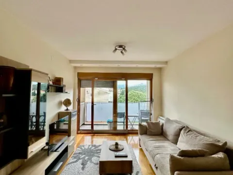 Izdavanje, jednosoban stan, 55m², Preko Morače, Podgorica - image 9