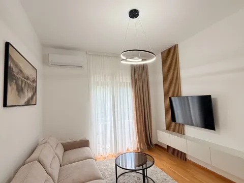 Rent, one bedroom apartment, 40m², Zabjelo, Podgorica - image 3