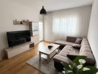 Izdavanje, jednosoban stan, 49m², Central Point, Podgorica - image 1