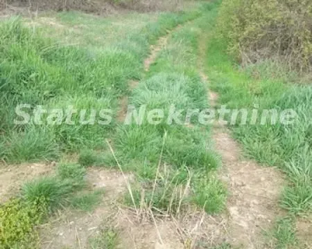 Sale, land lot, 1600m², Ledinci, Petrovaradin - image 5