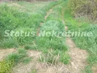 Sale, land lot, 16m², Ledinci, Petrovaradin - image 5