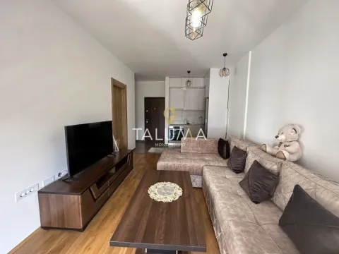 Izdavanje, jednosoban stan, 42m², Stari Aerodrom, Podgorica - image 5