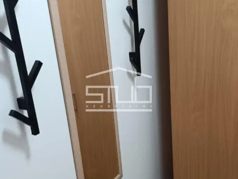 Izdavanje, dvosoban stan, 45m², Hala Pionir, Palilula Sve Podlokacije - image 5