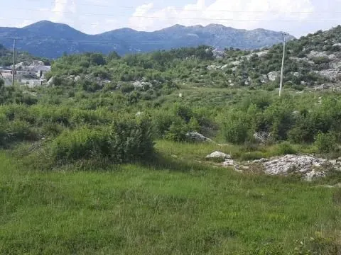 Prodaja, plac, 30000m², Cetinje, Crna Gora