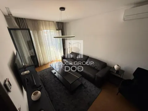 Izdavanje, dvosoban stan, 50m², Savski Venac, Beograd - image 10