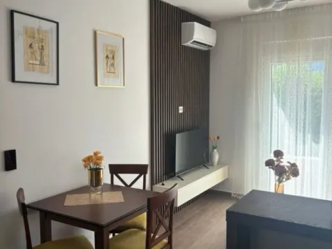 Izdavanje, jednosoban stan, 50m², Budva, Crna Gora - image 5