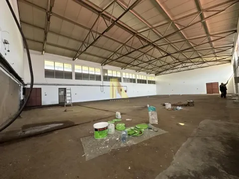 Izdavanje, poslovni prostor, 900m², Veternik, Novi Sad Sve Podlokacije - image 3