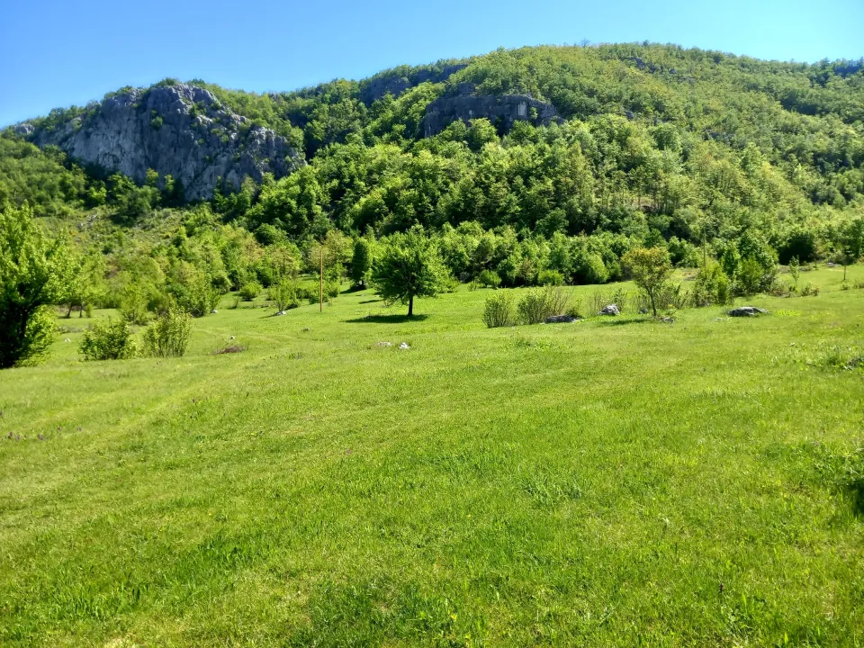 Sale, land lot, 130000m², Sjenokosi, Nikšić