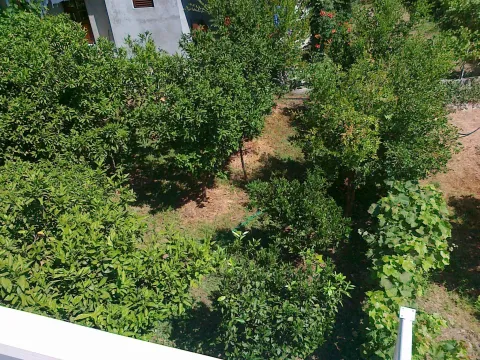 Pogled sa visine na dvorište ispunjeno zelenilom i drvećem. - image 6
