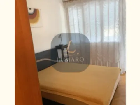 Izdavanje, jednosoban stan, 50m², Autobuska stanica, Podgorica - image 4