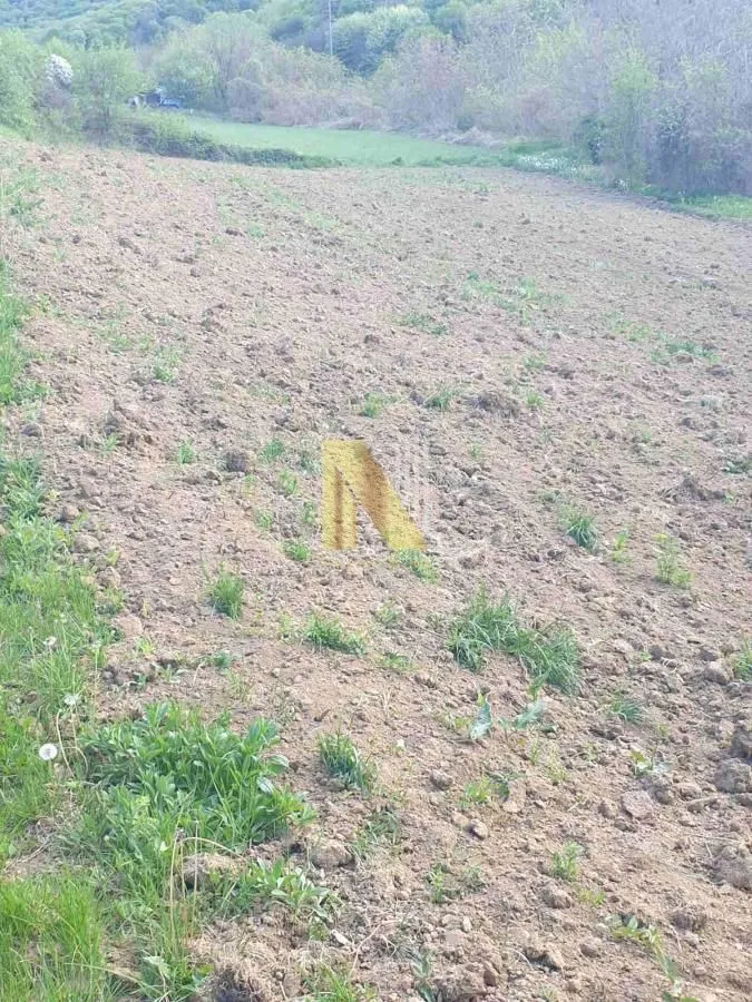 Prodaja, plac, 500m², Novi Sad, Srbija