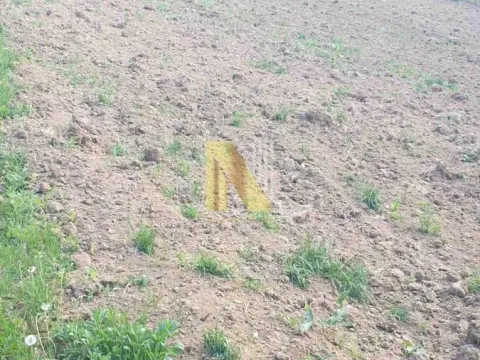 Prodaja, plac, 500m², Novi Sad, Srbija - image 3