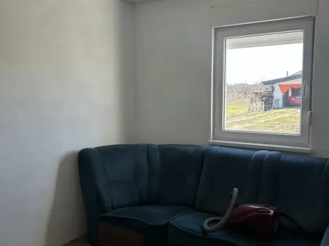 Sale, house, 168m², Begeč, Novi Sad Sve Podlokacije - image 5