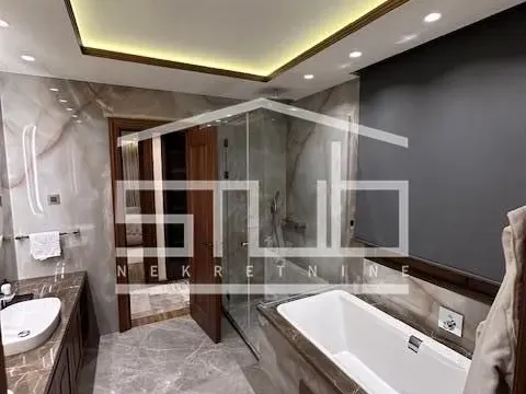 Izdavanje, stan, 350m², Južni Bulevar, Vračar Sve Podlokacije - image 6