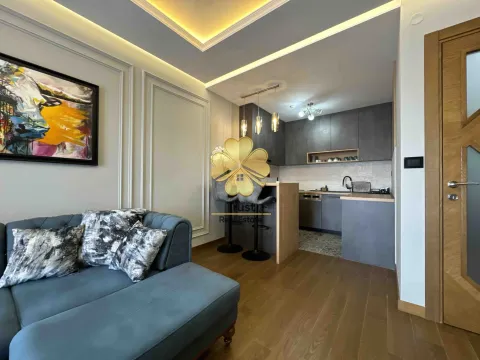 Izdavanje, jednosoban stan, 50m², Ljubović, Podgorica - image 4