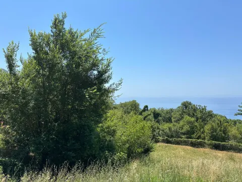 Pogled na more sa zelenog imanja. - image 2