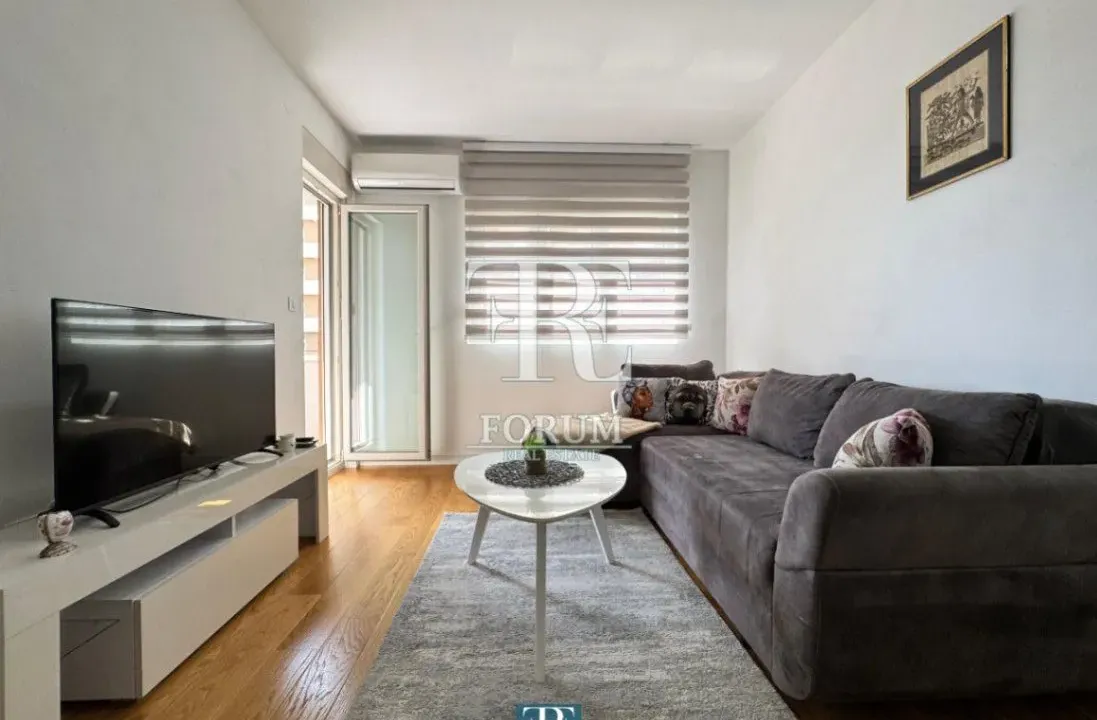 Izdavanje, jednosoban stan, 47m², Central Point, Podgorica