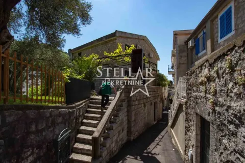 Rent, house, 200m², Rafailovići, Budva - image 1