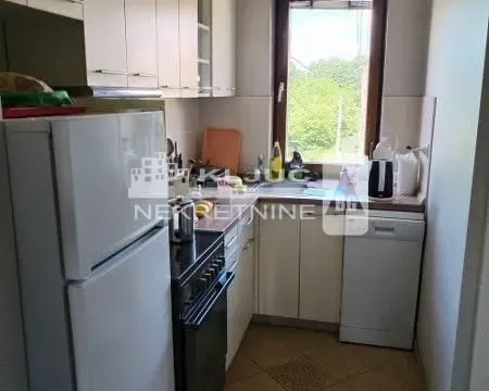 Prodaja, kuća, 2940m², Miljakovac, Rakovica - image 13