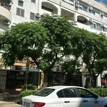 Prodaja, stan, 25m², Dubovica, Budva - image 3