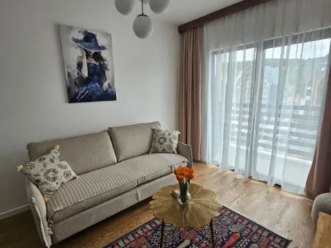 Rent, one bedroom apartment, 46m², Centar, Kolašin - image 4