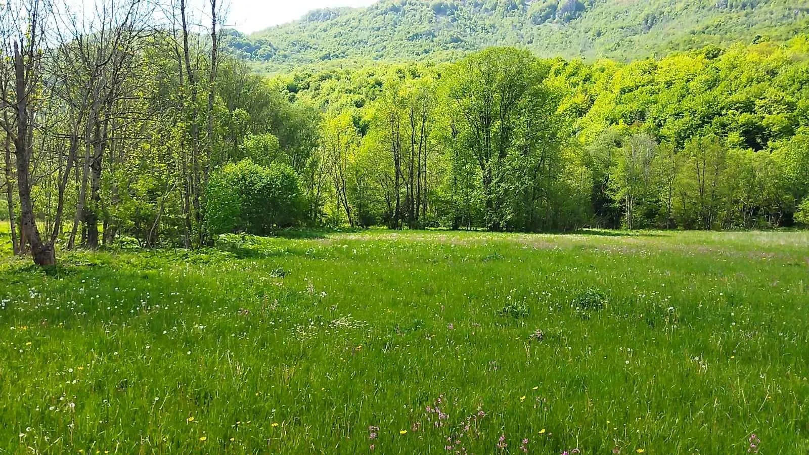 Prodaja, plac, 10000m², Kolašin, Crna Gora