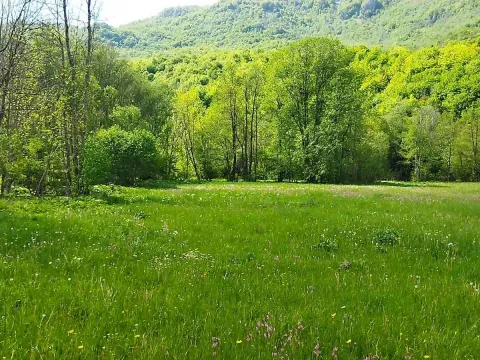 Prodaja, plac, 10000m², Kolašin, Crna Gora - image 10