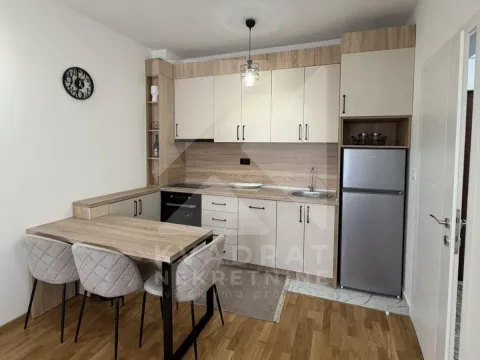 Izdavanje, jednosoban stan, 39m², Zagorič, Podgorica - image 3
