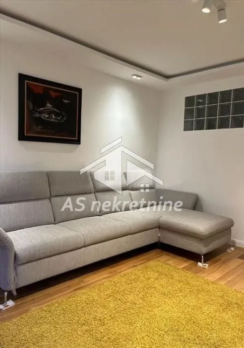 Rent, two bedroom apartment, 55m², Vračar Sve Podlokacije, Beograd