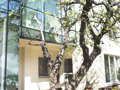 Izdavanje, poslovni prostor, 590m², Vračar Sve Podlokacije, Beograd - image 12