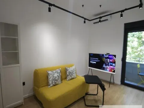 Rent, one bedroom apartment, 32m², Stari Grad, Beograd