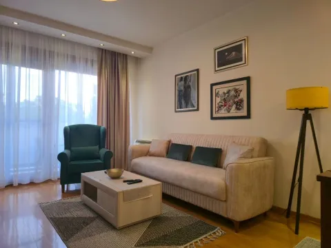 Izdavanje, jednosoban stan, 50m², Preko Morače, Podgorica - image 3