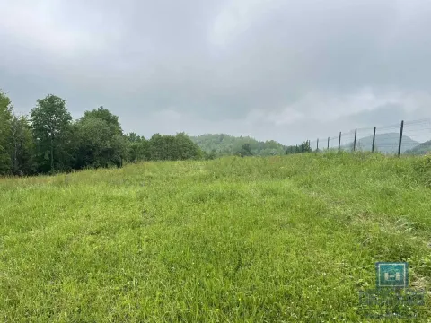 Prodaja, kuća, 32m², Jagodina, Srbija - image 8