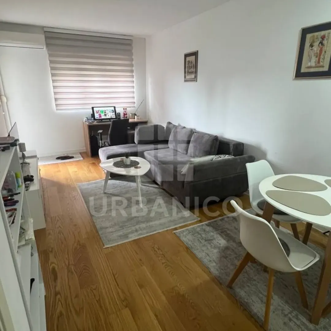 Izdavanje, jednosoban stan, 47m², Central Point, Podgorica