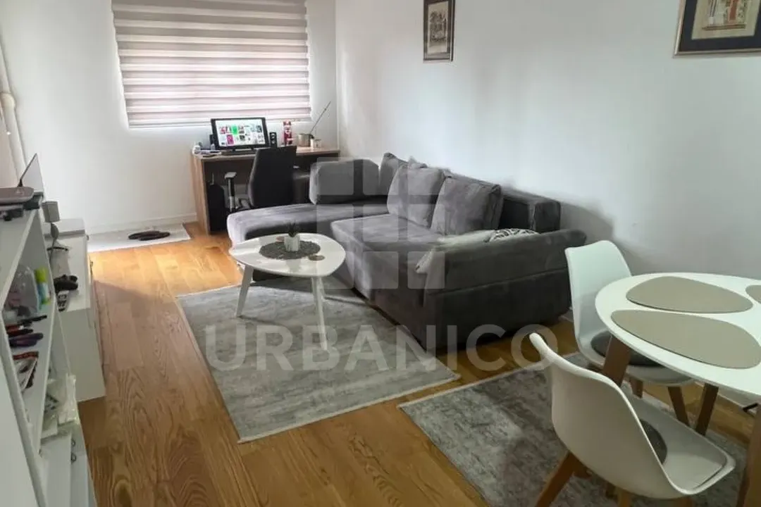 Izdavanje, jednosoban stan, 47m², Central Point, Podgorica