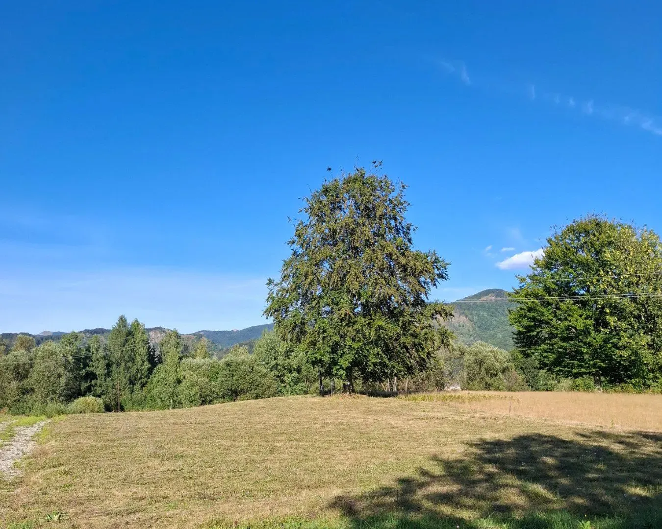 Prodaja, plac, 500m², Kolašin, Crna Gora